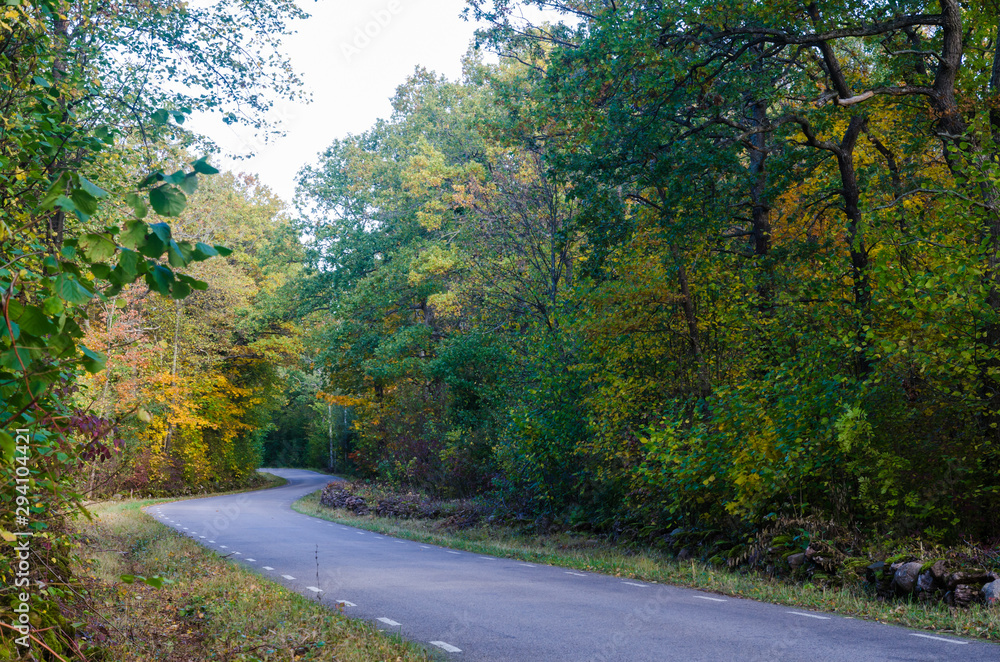 Obraz premium Curved country road in fall season colors