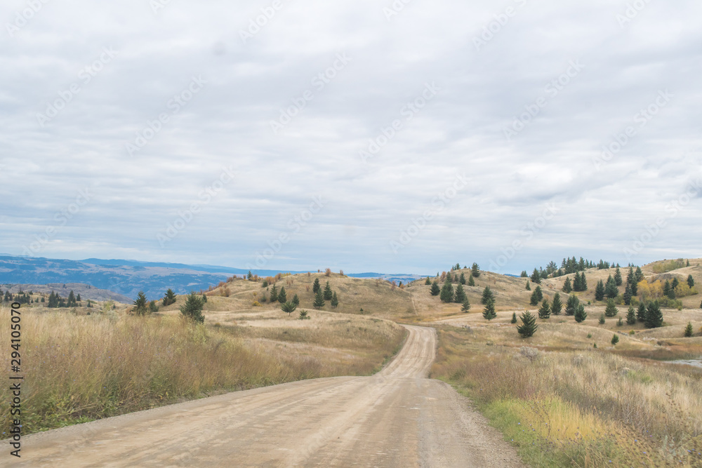 Obraz premium Hilly area with tutal landscape, desert hills and pine trees, dirt country road winding and blue mountains in the background near Kamloops