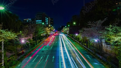 A night timelapse of the cherry street at Yasukuni avenue in Tokyo wide shot panning photo