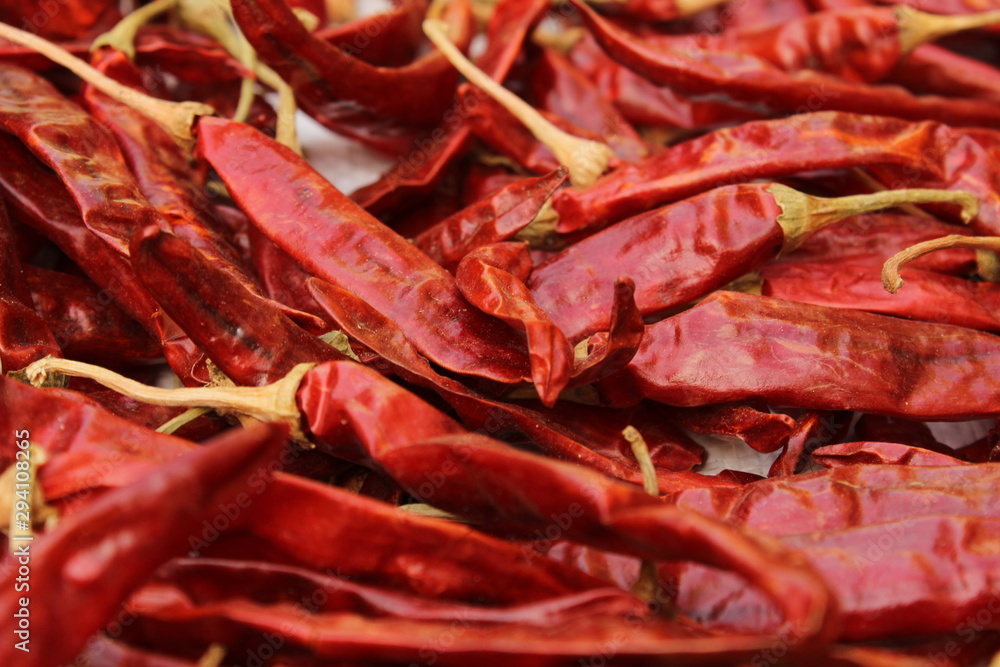 dry Red chilies in morning