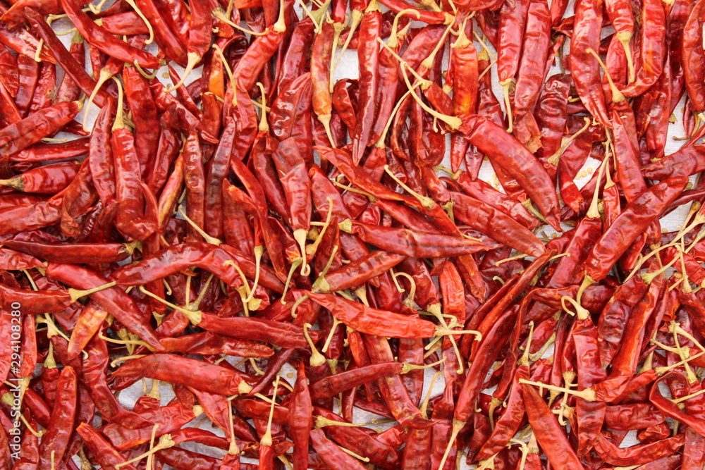 Fototapeta premium dry Red chilies in morning