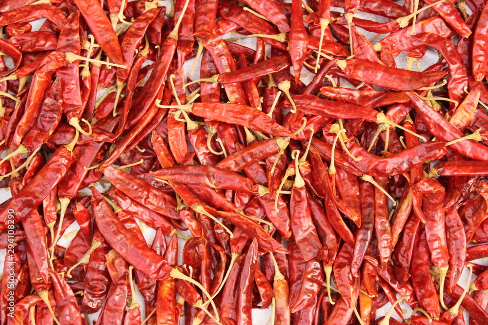 dry Red chilies in morning dry Red chilies in morning