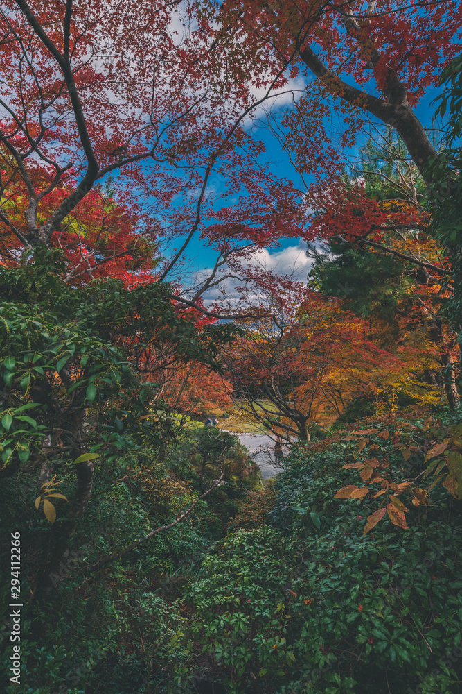 京都 大河内山荘の紅葉と秋景色 京都 大河内山荘の紅葉と秋景色