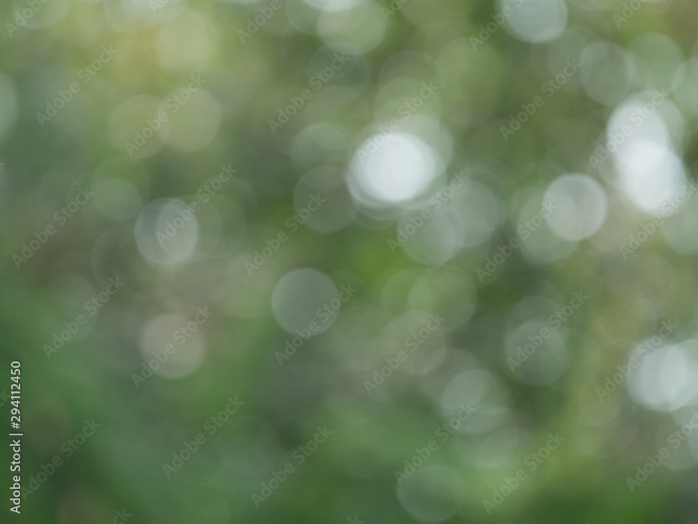Natural bokeh background Blurred out of focus Natural bokeh background Blurred out of focus