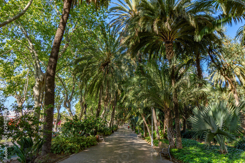 Sidewalk on the Paseo del Parque in Malaga, Spain with palm tree jungle