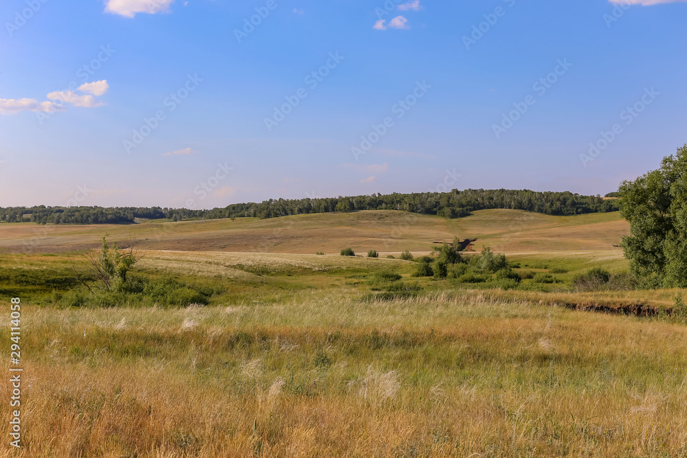 Beautiful Orenburg steppe expanses