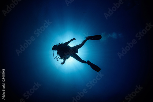 Backlit diver