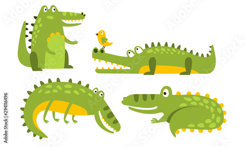 Set of cartoon green crocodiles. Vector illustration.