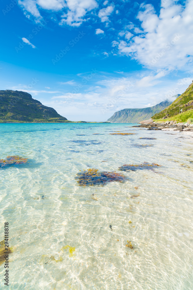 Fototapeta premium beautiful sand beach on the lofoten islands in Norway