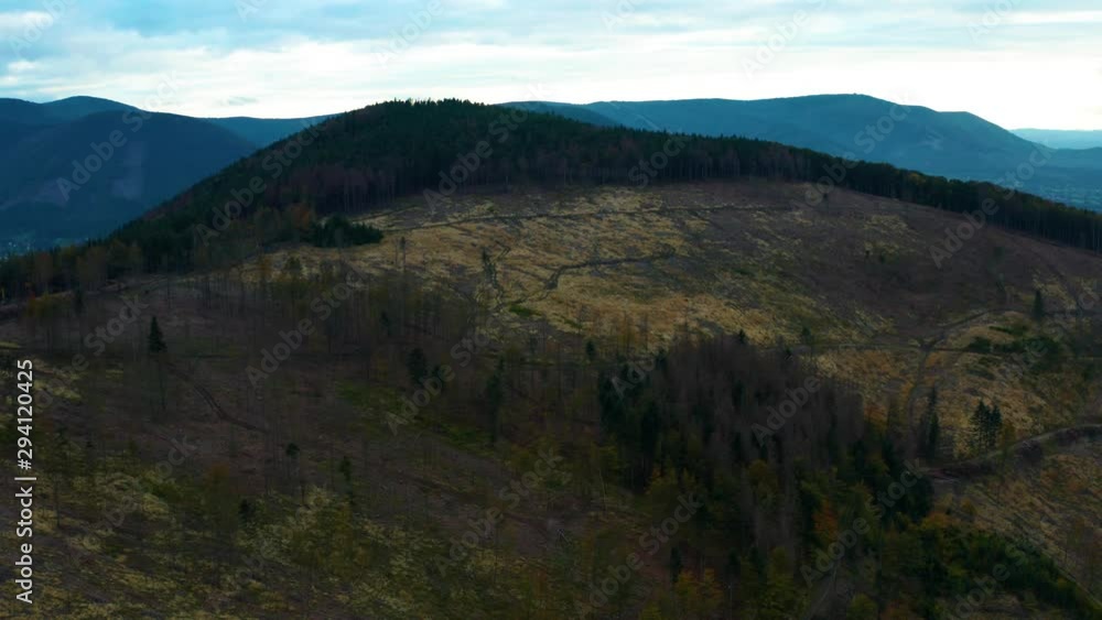 Aerial Shot Of mountains after attack by bark beetle and then liquidation Aerial Shot Of mountains after attack by bark beetle and then liquidation