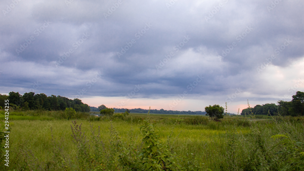 Obraz premium landscape with green field and blue sky