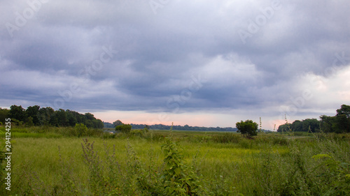 landscape with green field and blue sky