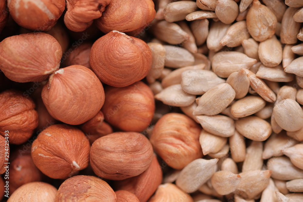 Background of hazelnut and sunflower seeds. Background of hazelnut and sunflower seeds.