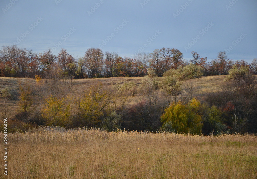 Fototapeta premium autumn in the hill