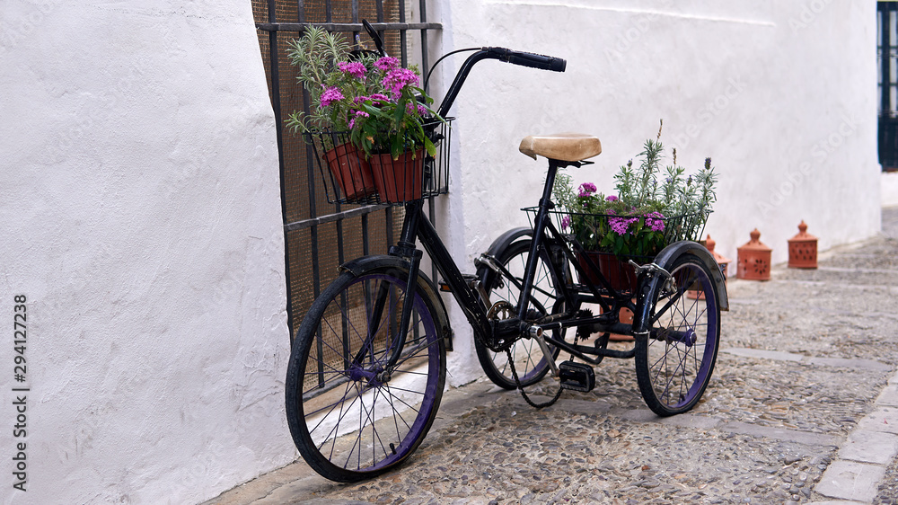 Old Tricycle at Vejer de la Frontera