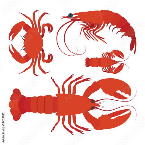 Lobster, crayfish and shrimp realistic vector illustration. Underwater life. Seafood. Part of set.