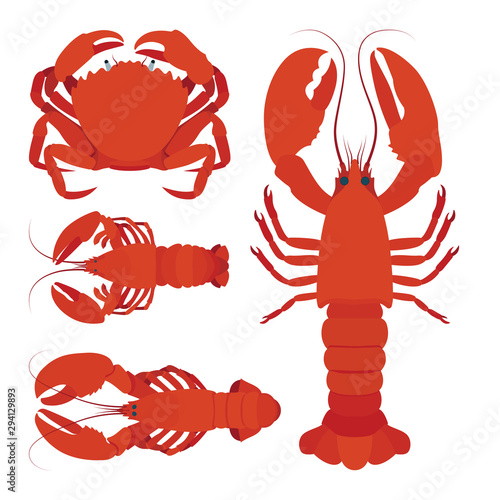 Lobster, crayfish and shrimp realistic vector illustration. Underwater life. Seafood. Part of set.