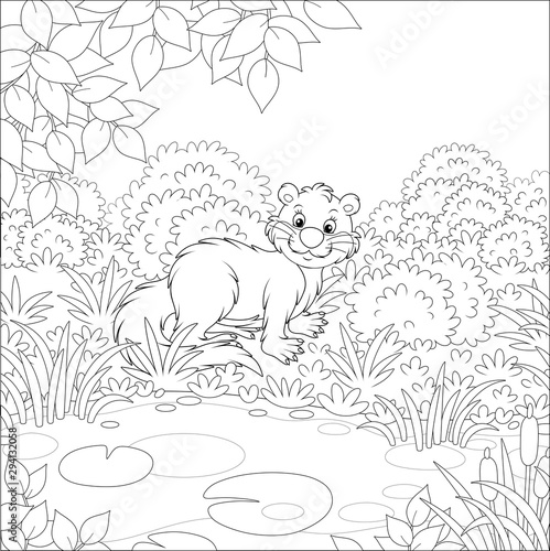 River otter in grass by a s...