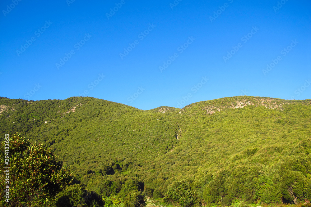 Green hill view with a blue sky background