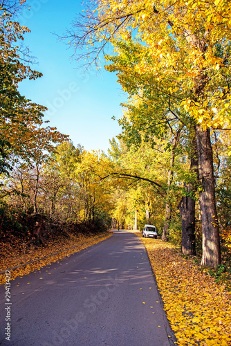 Amazing autumn landscape with car and yellow leaves along road in cosy forest