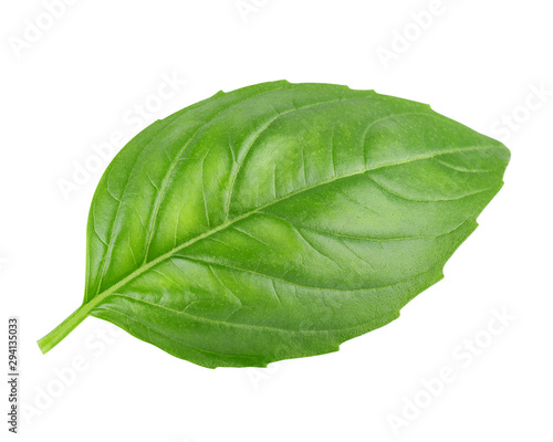 Fotografia Leaf of basil