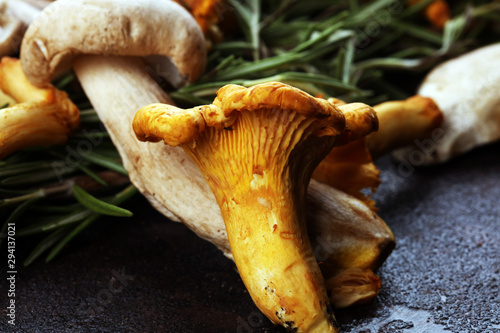 variety of raw mushrooms on wooden dark table. oyster and other fresh mushrooms.