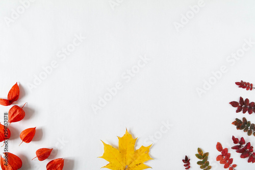 Autumn leaves and plants on the edge of the frame on a white background. Template for banner and seasonal sale. Flat lay, top view, copy space. Autumn, fall concept. 