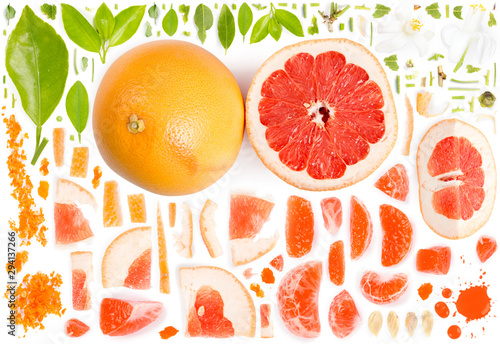 Grapefruit Collection Abstract