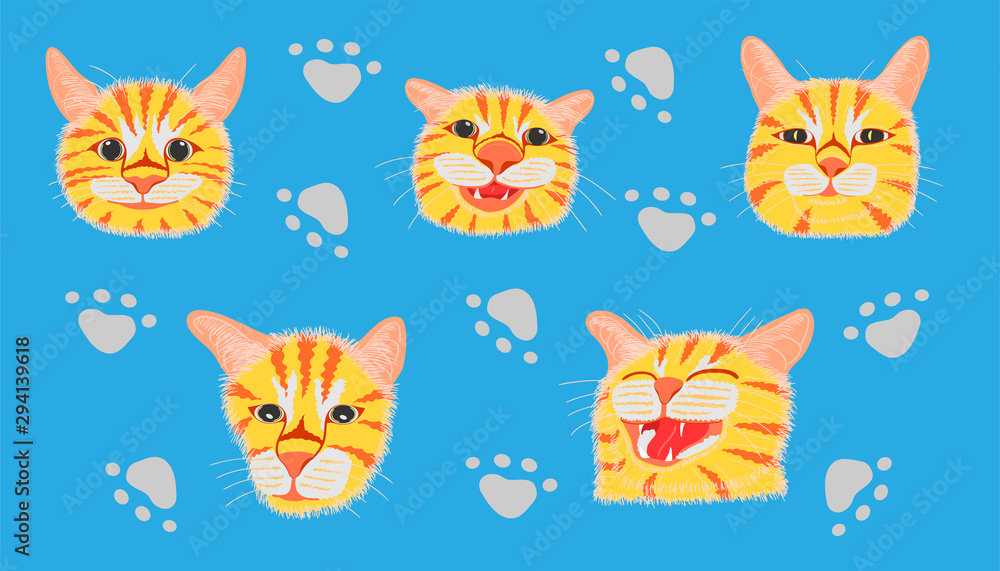 different element cute cat head and footprint. vector illustration eps10