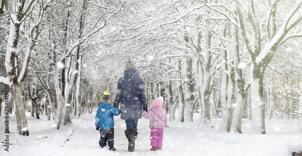 Winter park under the snow. A snowstorm in the city park. Park for walks with the whole family under the snow cover. Winter park under the snow. A snowstorm in the city park. Park for walks with the whole family under the snow cover.