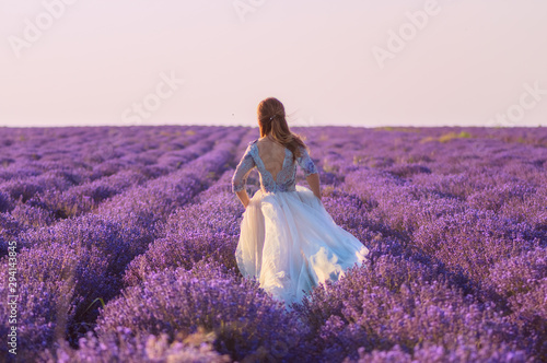 Back view of beautiful bride in the dress is running through the lavender field at sunset