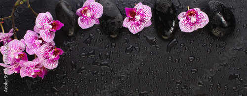 Beautiful floral background with copy space. Pink orchid flowers with wet zen black stones