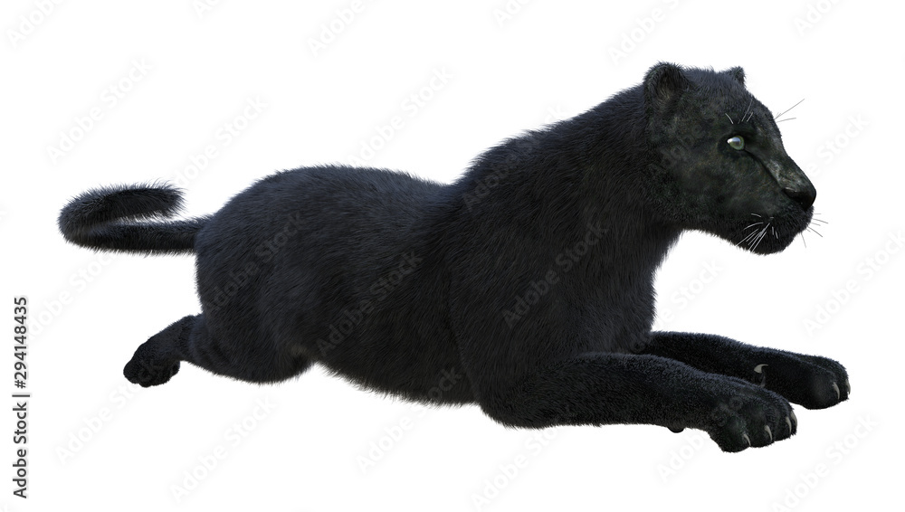 3D Rendering Black Panther on White 3D Rendering Black Panther on White