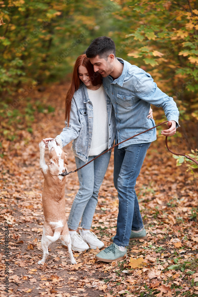 young romantic couple taking care of dog, enjoyment concept. pet lovers spending time in the park young romantic couple taking care of dog, enjoyment concept. pet lovers spending time in the park