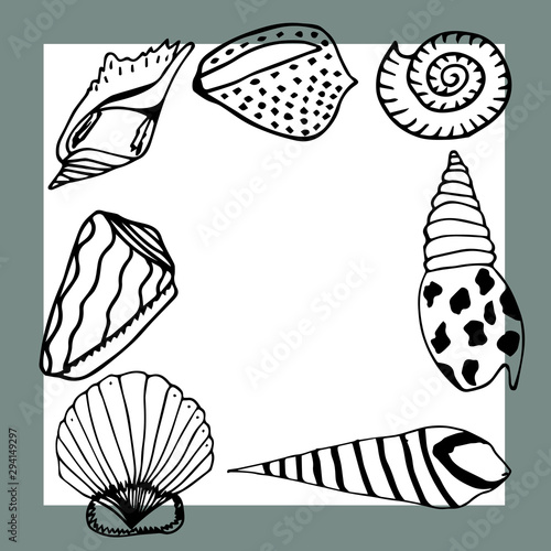 Vector underwater sea cartoon. Various seashells. Great for web page background, wrapping paper, cards,notebook and invitation