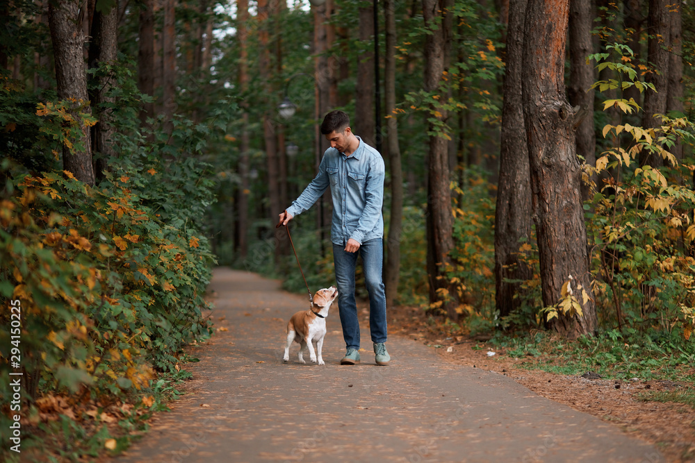 handsome guy spending time with his dog in the park, full length photo. wonderful amazing landscape in the background of the photo. pastime, leisure handsome guy spending time with his dog in the park, full length photo. wonderful amazing landscape in the background of the photo. pastime, leisure