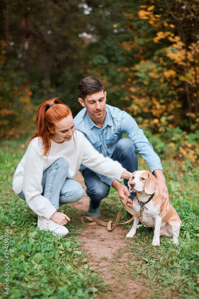 cheerful kind friendly couple stroking their dog in the park, happiness, pet lovers cheerful kind friendly couple stroking their dog in the park, happiness, pet lovers
