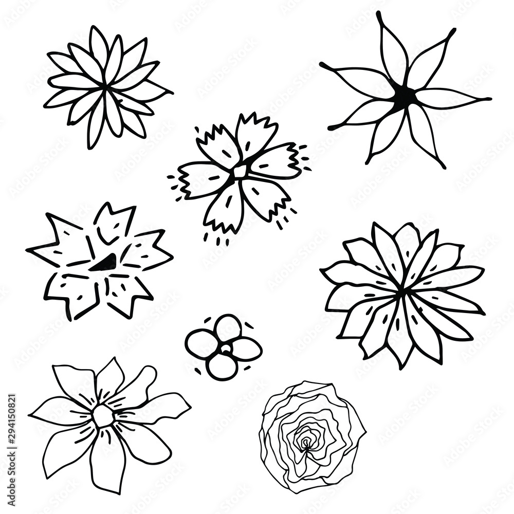 Set of  black and white vector floral greeting card with blooming garden flowers, botanical natural Illustration on white  background in hand drawn doodle style.