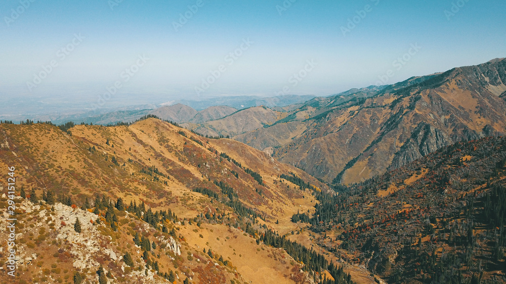Autumn in the mountains. Green-orange wood, the grasses, coniferous ate. Big rocks and snow-capped mountains. Mountain gorge. Yellow bushes and grass. Shooting from a height, drone. Almaty, Kazakhstan