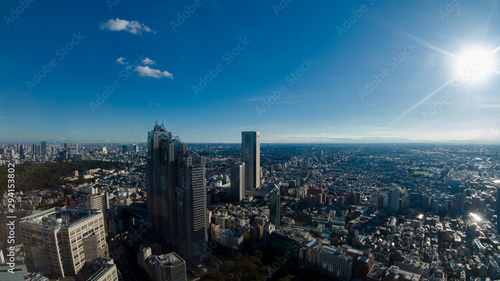 東京都庁から見た東京の街風景