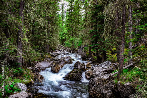 waterfall in the forest