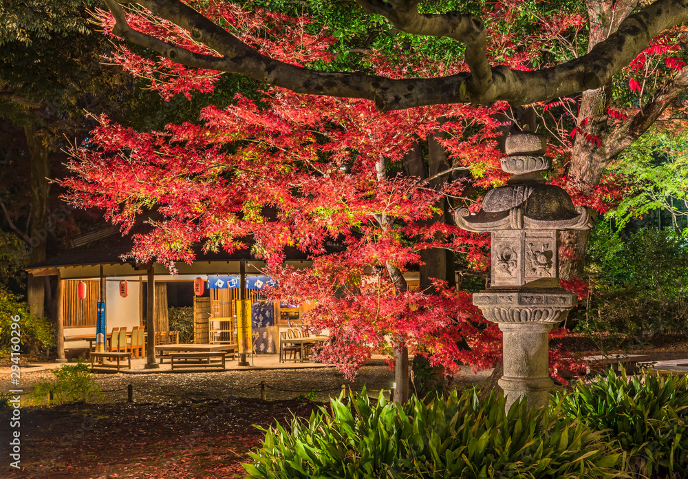 Φωτογραφία Autumn night lighup of a stone Kasuga lantern under a red maple momiji in the garden of Rikugien in Tokyo