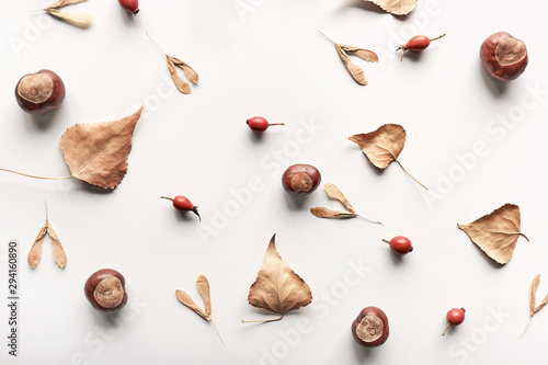 Autumn composion made of dried leaves, chestnuts and red hips on a white background. photo