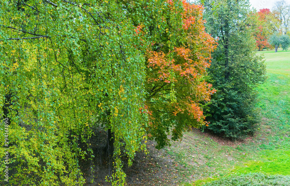 The colors of autumn. Trees with yellow, green and red leaves.