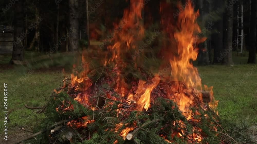 real time view burning woods, close up shot real time view burning woods, close up shot