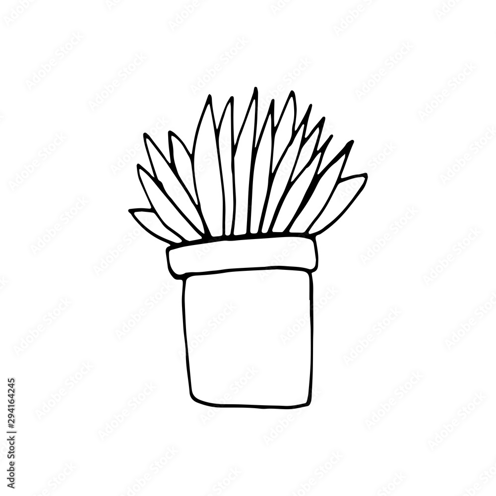 Single hand drawn plant. Doodle vector illustration in cute scandinavian style. Element for greeting cards, posters, stickers and seasonal design. Isolated on white background Single hand drawn plant. Doodle vector illustration in cute scandinavian style. Element for greeting cards, posters, stickers and seasonal design. Isolated on white background