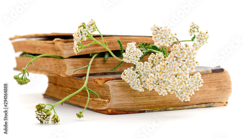 Cuadro en lienzo Yarrow flowers on books isolated.
