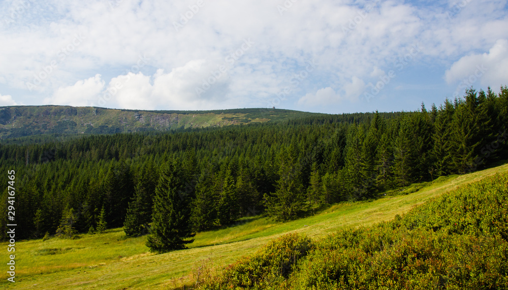 Karkonosze - Polish mountains. Mountains, trails and vegetation in the summer.