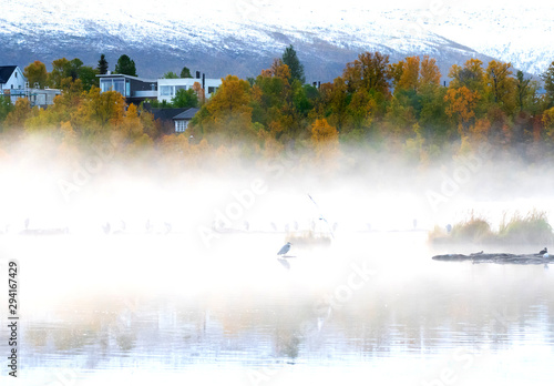 the mist over the lake, Norway .Tromso