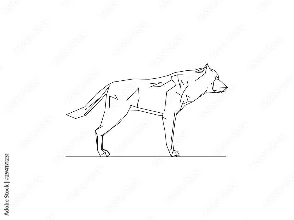 Vector illustration of a wolf isolated on white background Vector illustration of a wolf isolated on white background